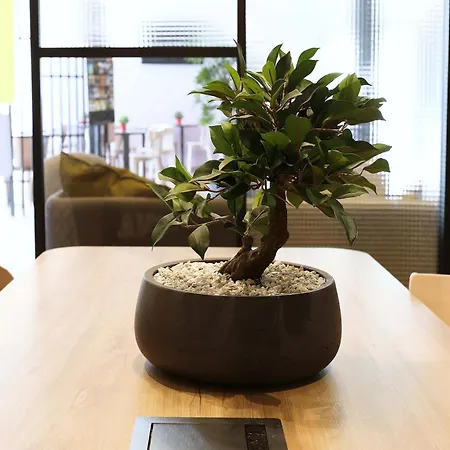 B&B Hotel Epernay Szálloda 2*